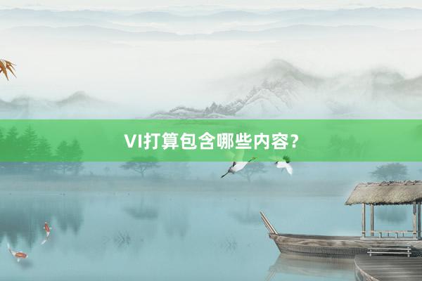 VI打算包含哪些内容？