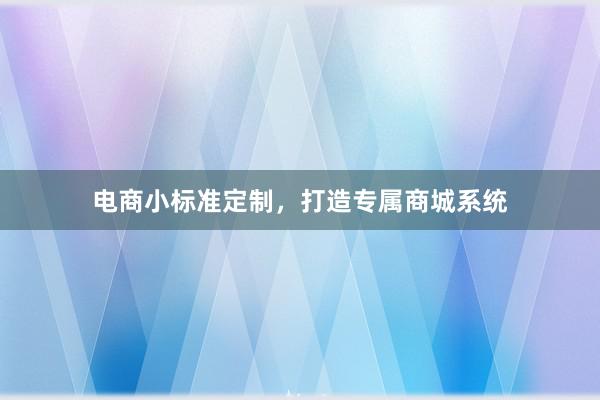 电商小标准定制，打造专属商城系统