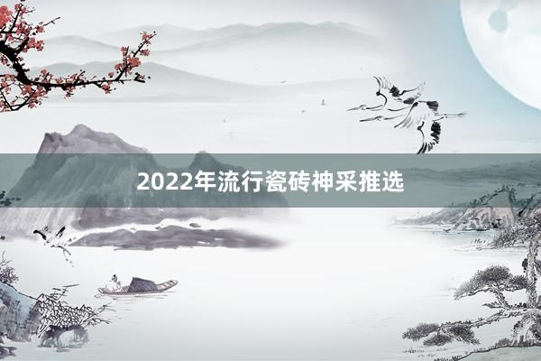 2022年流行瓷砖神采推选